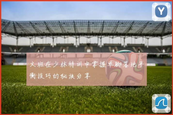 文班在少林特训中掌握单脚落地平衡技巧的秘诀分享