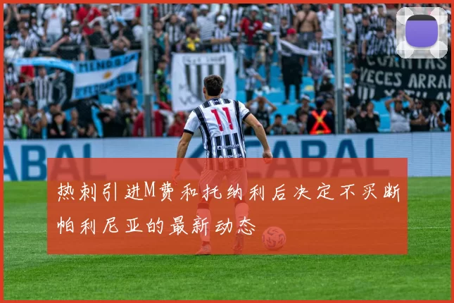 热刺引进M费和托纳利后决定不买断帕利尼亚的最新动态